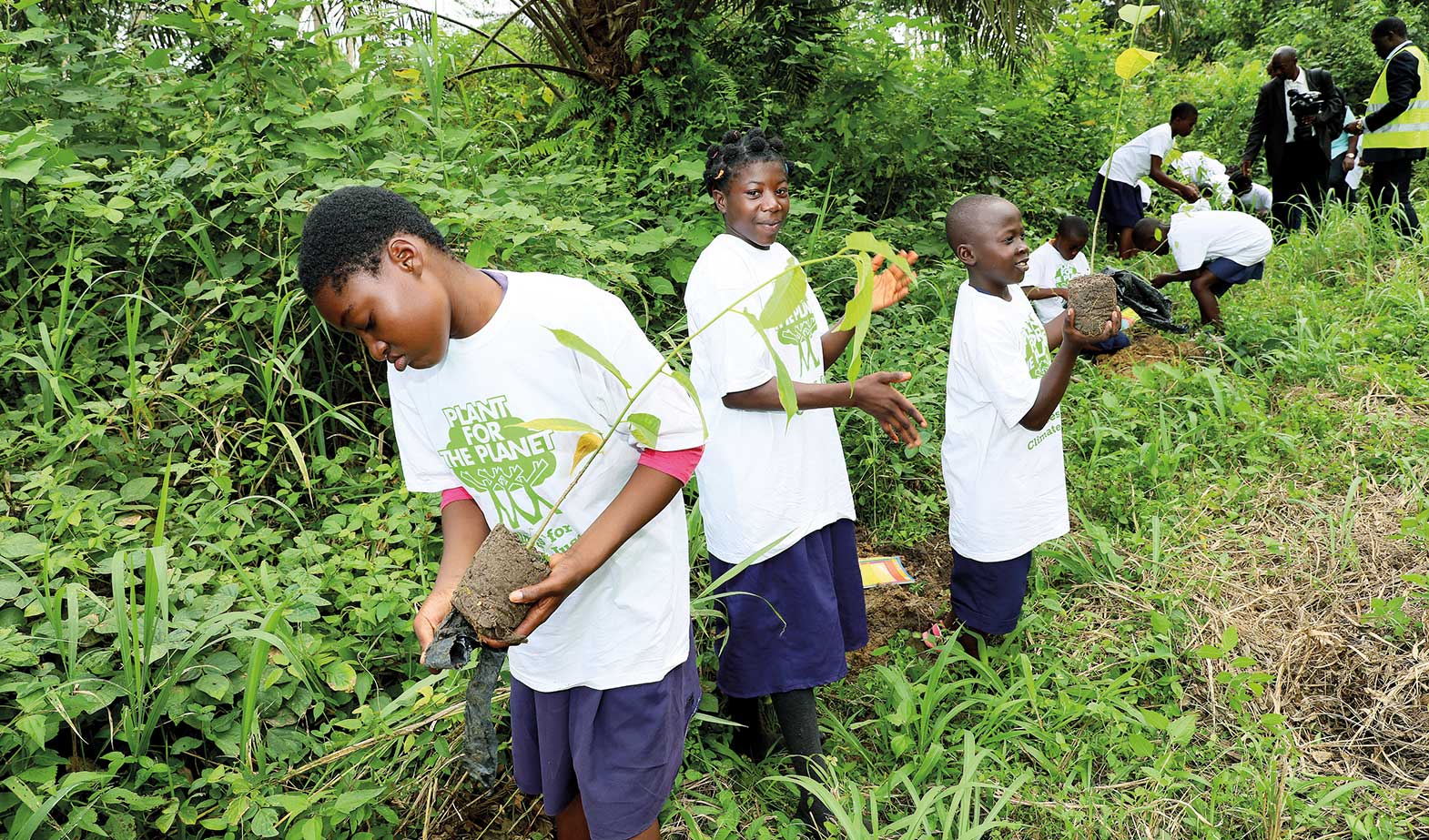 Protection de l’environnement : Mbalmayo reçoit 200 arbres
