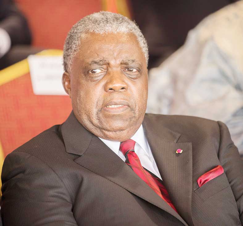 Affaire Kamto et Cie : Réné Emmanuel Sadi remet les pendules à l’heure !