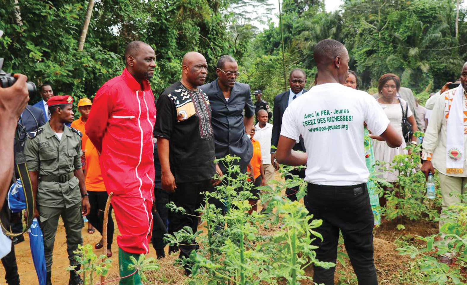 Économie : la ceinture agricole autour de Kribi promet