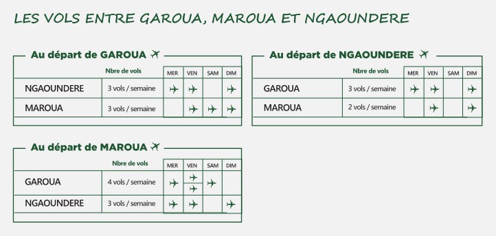 Cameroon Airlines Corporation (Camair-Co) Vers un nouveau cap