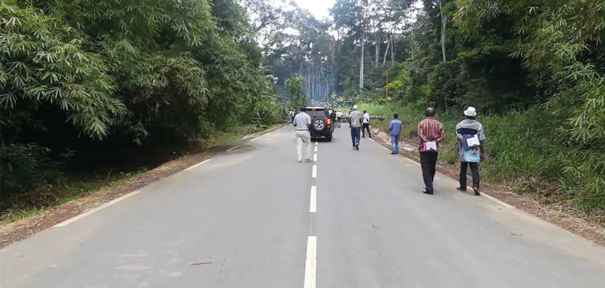 Barrage de Memve’ele : les délices du bitume de la voie d’accès