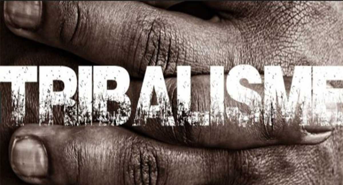 Session Parlementaire : L’outrage à la tribu, bientôt condamnable!