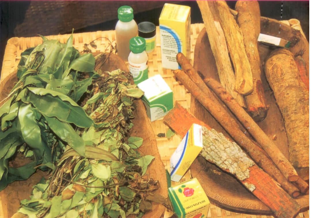 Covid-19: L’OMS fait appel à la médecine traditionnelle pour combattre la pandémie