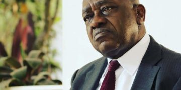 Mouvement AGIR: Penda Ekoka bouclier humain de Maurice Kamto