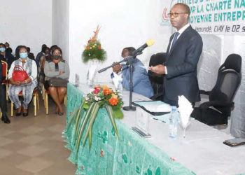 Développement des PME : Engagement tous azimuts pour Achille Bassilekin III