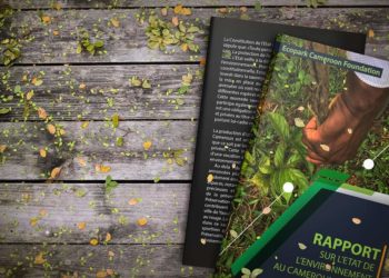 État de l’environnement en 2019: Ecopark Cameroon Foundation dresse le rapport