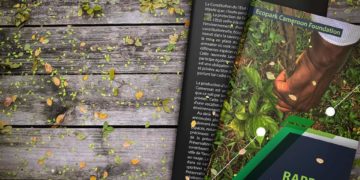 État de l’environnement en 2019: Ecopark Cameroon Foundation dresse le rapport