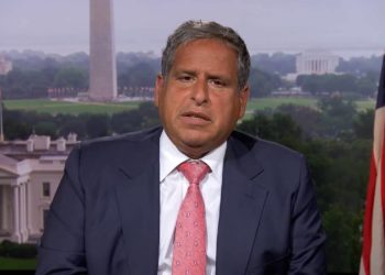 Robert Amsterdam: Agitation puérile