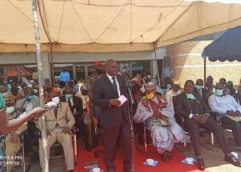 Production locale de lait: le Cameroun importe 165 vaches de la France