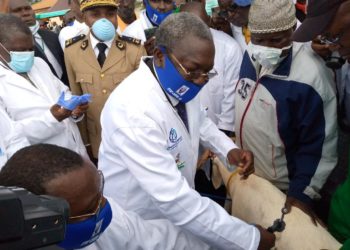 Vaccination contre la peste des petits ruminants: Paul Biya vole au secours des petits éleveurs