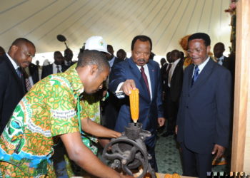 Economie et un développement inclusif : Paul Biya annonce le passage à la vitesse supérieure