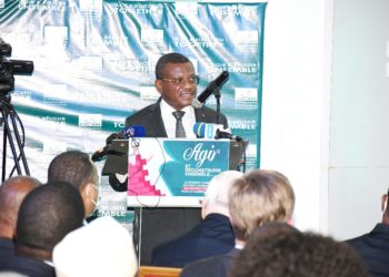 Faire taire les armes en Afrique: Le Premier ministre réalise la partition de Paul Biya