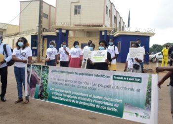 Lutte contre la déforestation liée au caoutchouc: Le peuple Baka monte au créneau