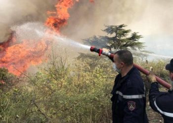 Algérie: Le poumon vert carbonisé