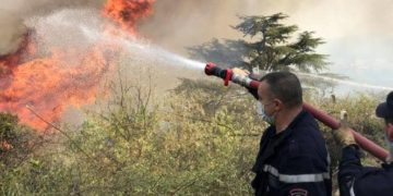 Algérie: Le poumon vert carbonisé