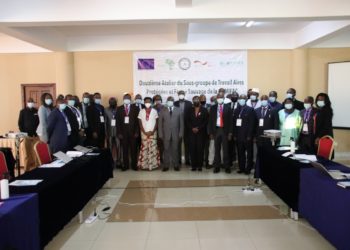 Gestion Sous Régionale: Risque d’implosion à la COMIFAC pour cause de dette !