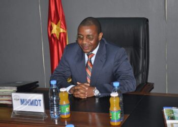 Cameroun : Gabriel Dodo Ndoke comme une étoile filante