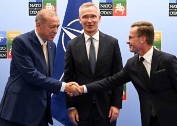 Adhésion de la Suède à l’Otan : feu vert du président Recep Tayyip Erdogan