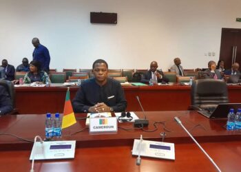 Afrique Centrale : Le MINAT participe à la préparation du sommet de la CEEAC