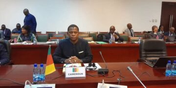 Afrique Centrale : Le MINAT participe à la préparation du sommet de la CEEAC