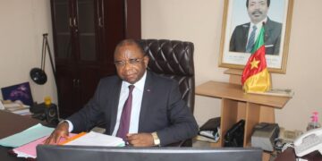 Commerce : Le Cameroun suspend les importations de Maïs