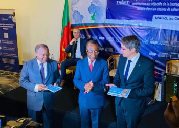 Zones Industrielles: La MAGZI cible 9000 hectares d’ici 2035